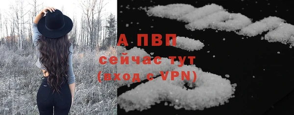 сатива Белоозёрский
