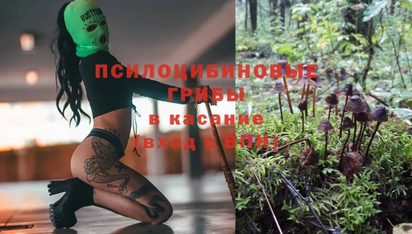 прущие грибы Снежинск