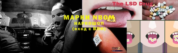 сатива Белоозёрский