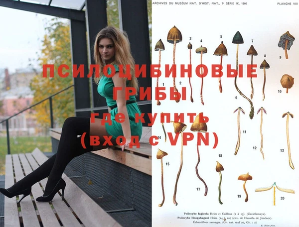 сатива Белоозёрский