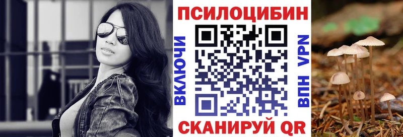 Псилоцибиновые грибы Psilocybe Гатчина