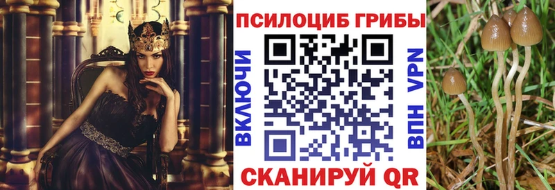 как найти закладки  мега ссылка  Галлюциногенные грибы мухоморы  Гатчина 